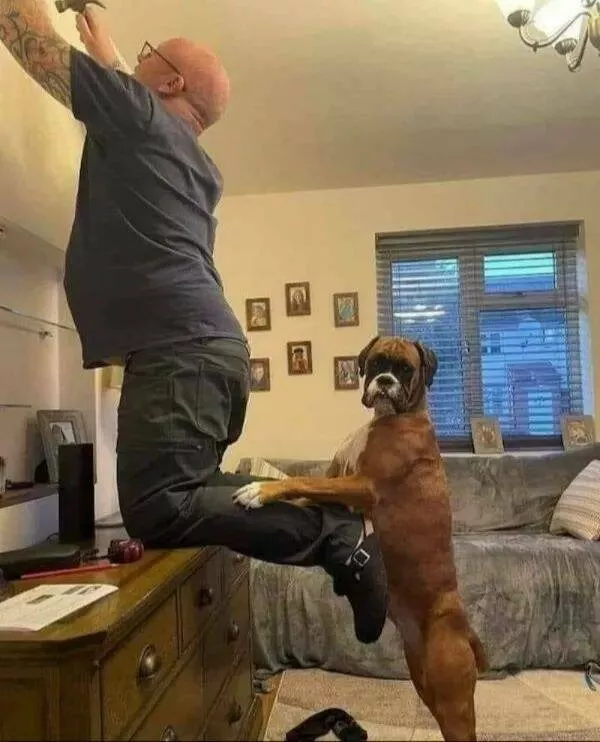 Pawsitively delightful embracing the world of canines - #26 