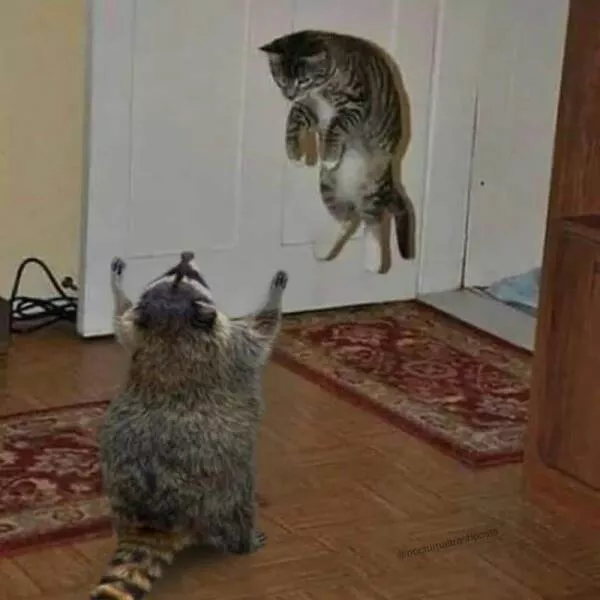 Picdump 839 - #60 