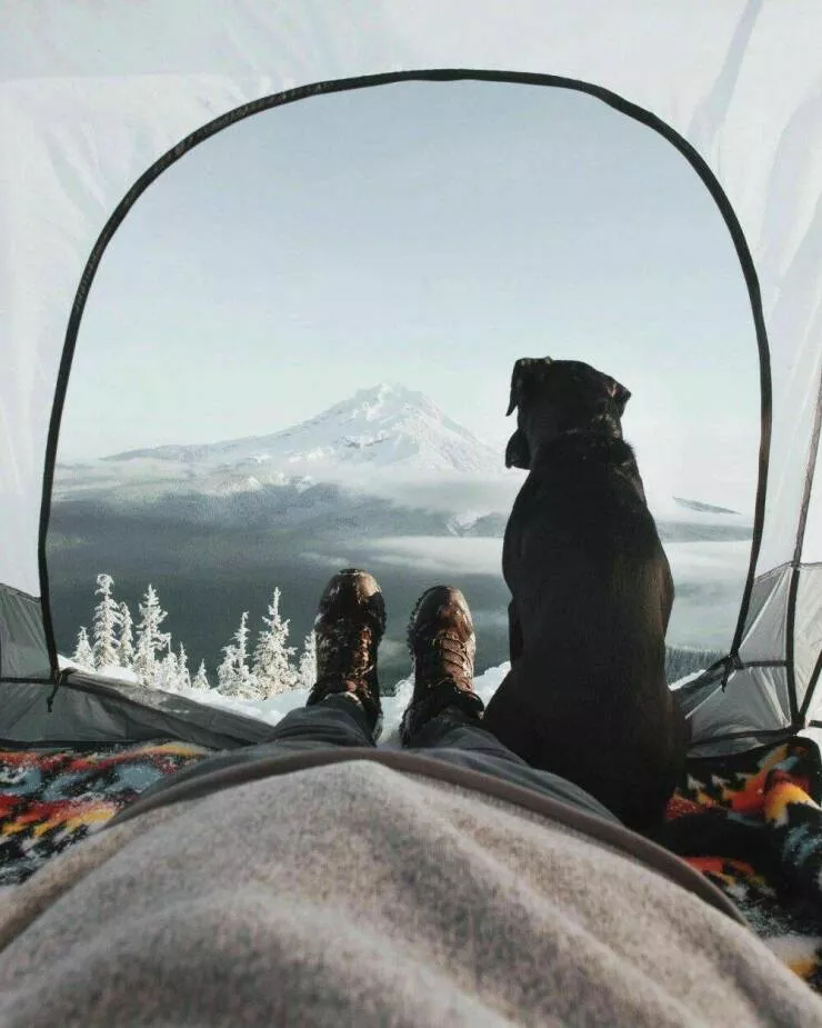 Impactful imagery when a picture speaks volumes - #11 
