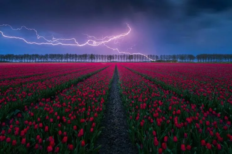 Imagerie impactante quand une image en dit long - #12 