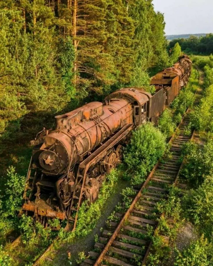 Imagerie impactante quand une image en dit long - #17 