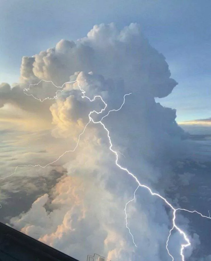 Imagerie impactante quand une image en dit long - #21 