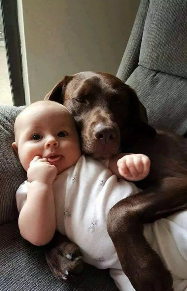 Impactful imagery when a picture speaks volumes - #24 Impactful imagery when a picture speaks volumes - #24