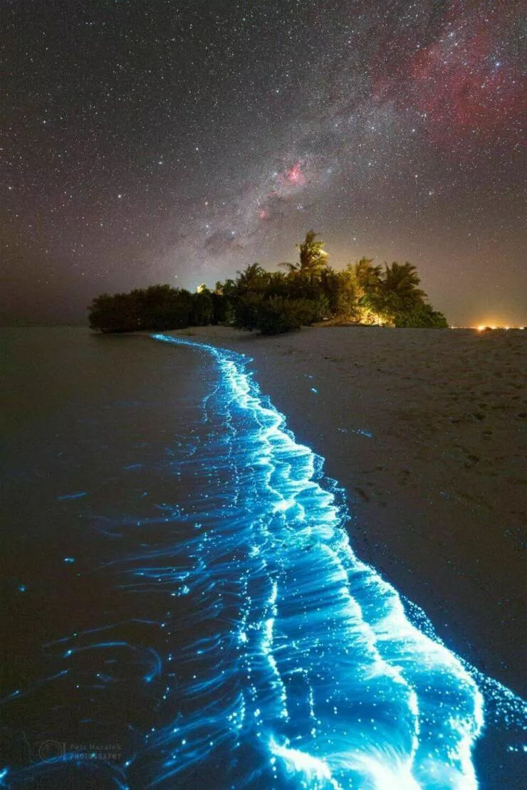 Imagerie impactante quand une image en dit long - #28 