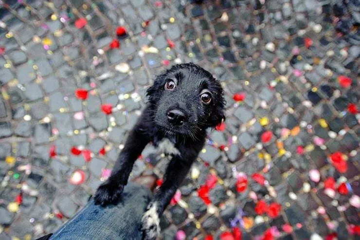 Impactful imagery when a picture speaks volumes - #32 Impactful imagery when a picture speaks volumes - #32