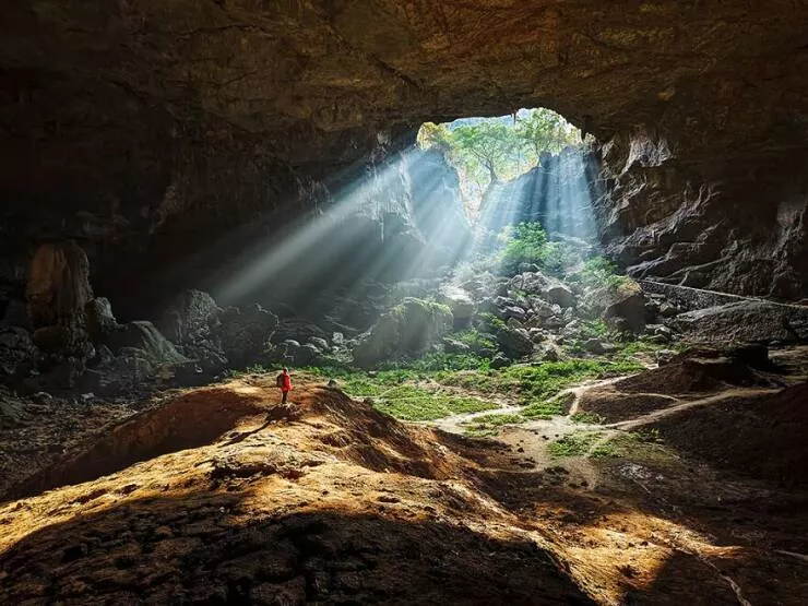 Imagerie impactante quand une image en dit long - #34 