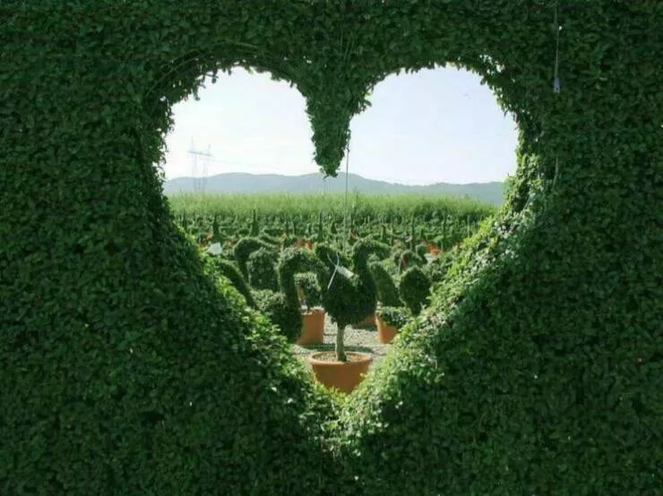 Imagerie impactante quand une image en dit long - #36 