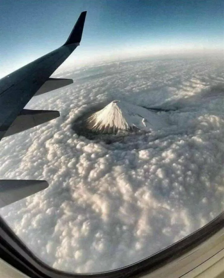 Imagerie impactante quand une image en dit long - #37 