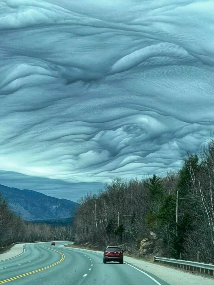 Imagerie impactante quand une image en dit long - #38 