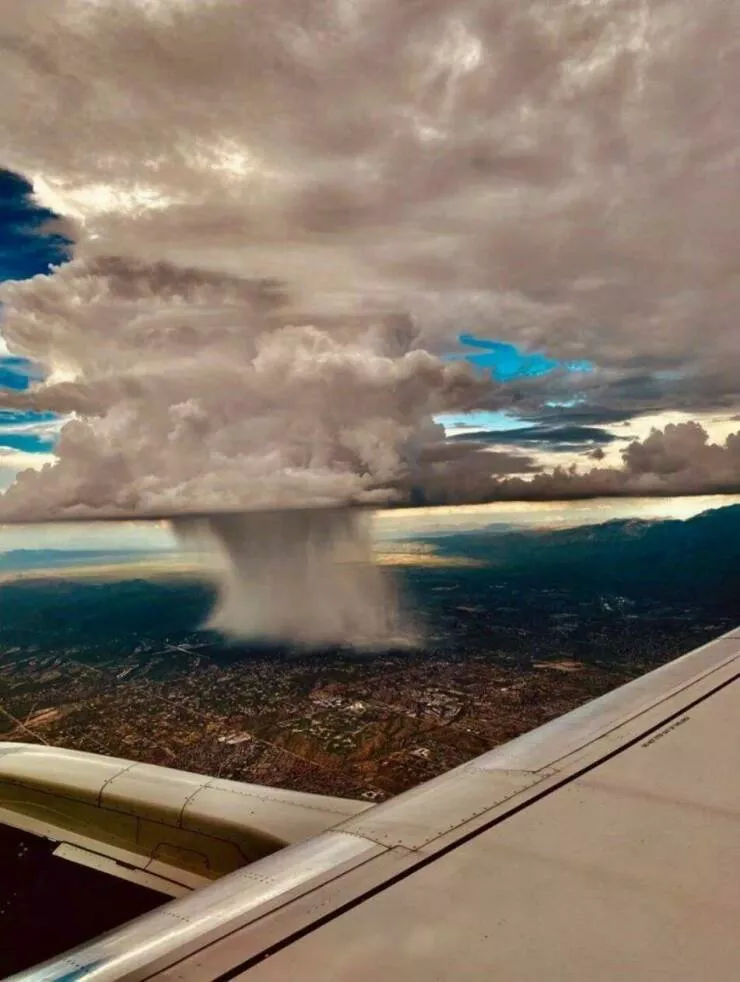 Imagerie impactante quand une image en dit long - #39 