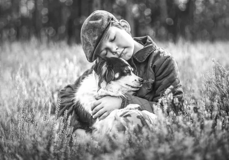 Impactful imagery when a picture speaks volumes - #4 