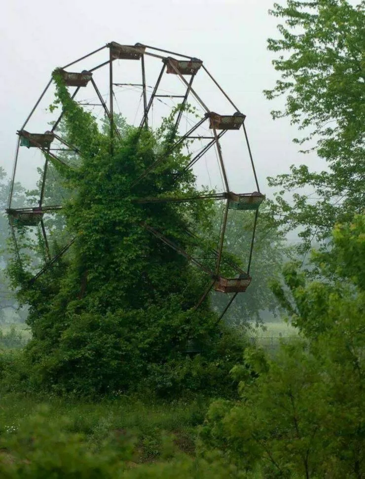 Imagerie impactante quand une image en dit long - #42 