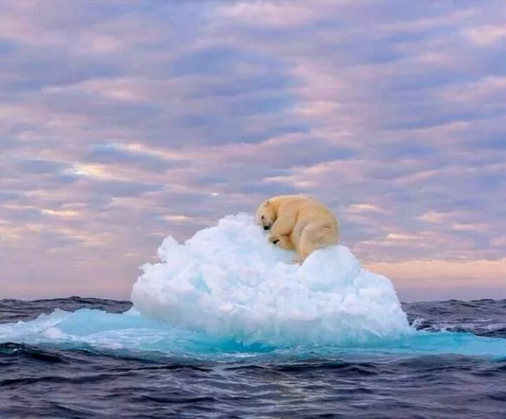 Imagerie impactante quand une image en dit long - #46 