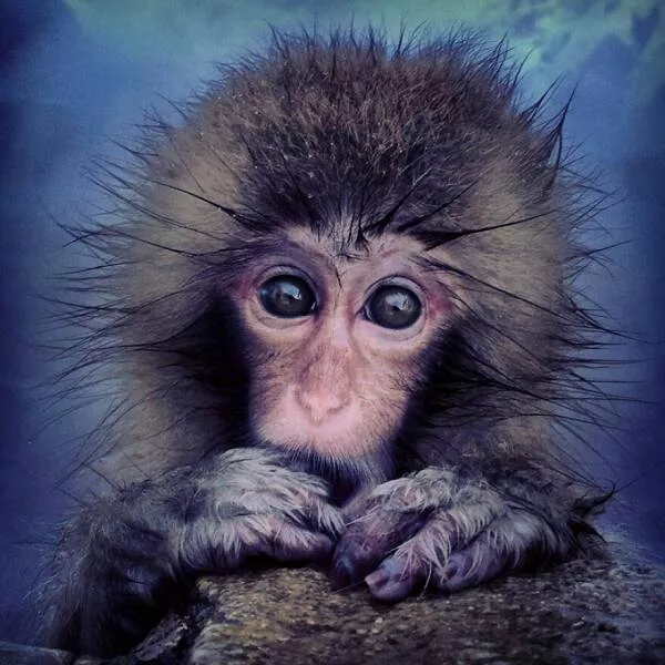 Imagerie impactante quand une image en dit long - #6 