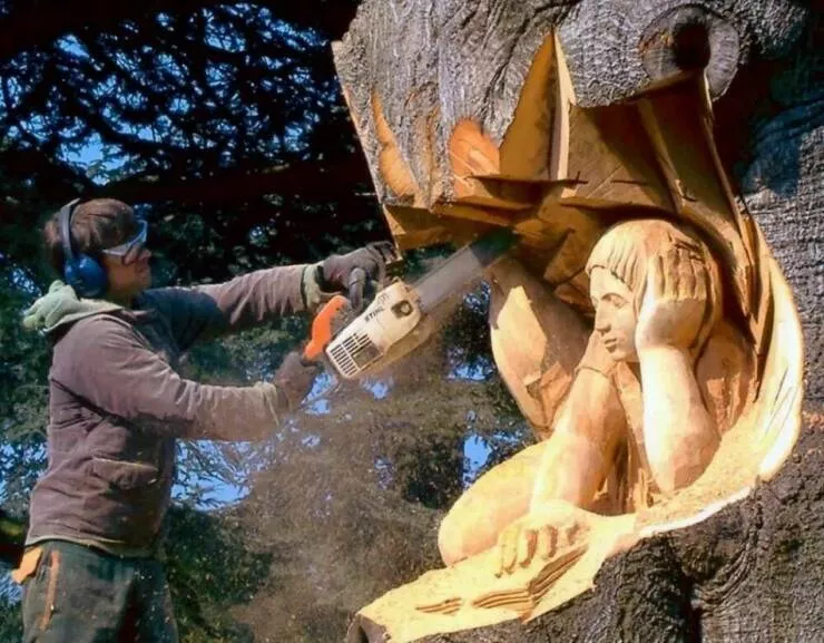Imagerie impactante quand une image en dit long - #8 