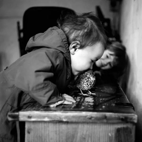 Impactful imagery when a picture speaks volumes - #9 