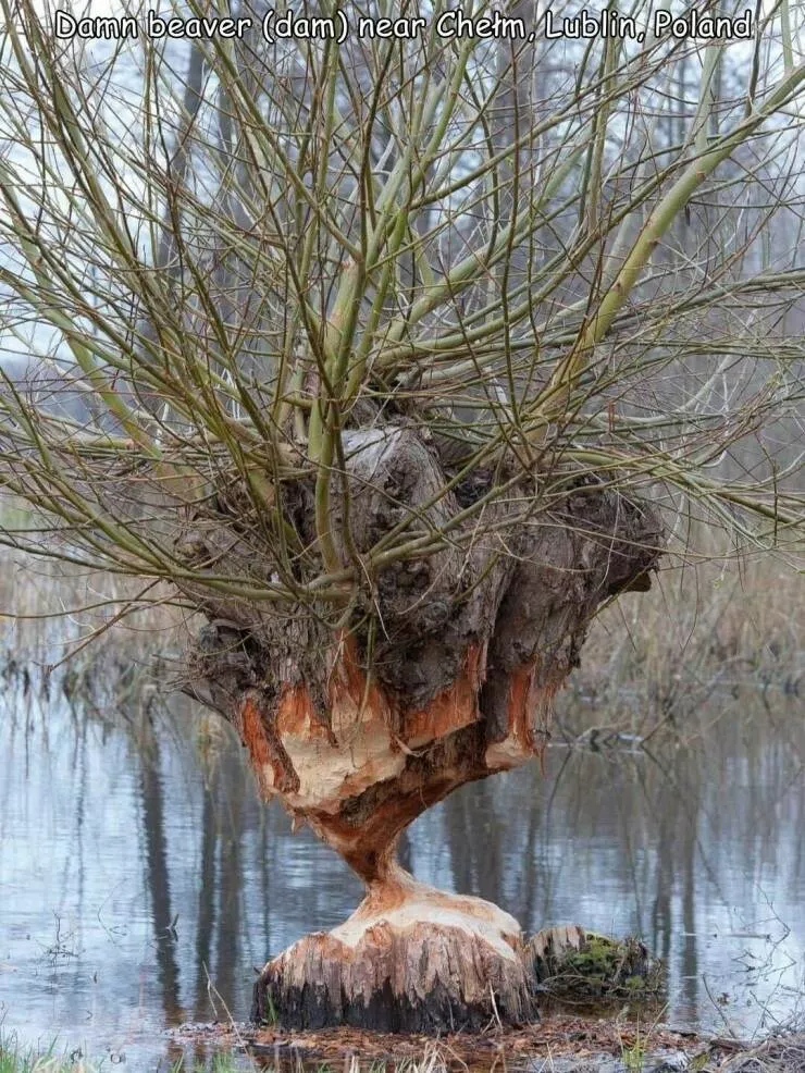 Picdump 840 - #40 