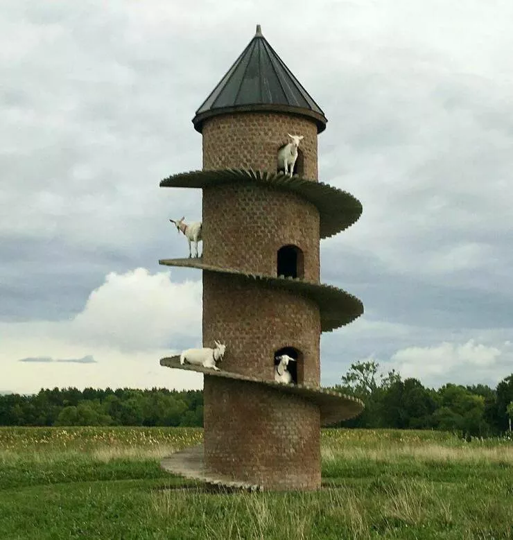 Picdump 841 - #12 