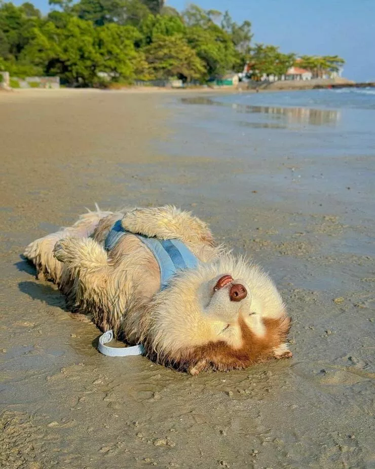 Picdump 841 - #41 