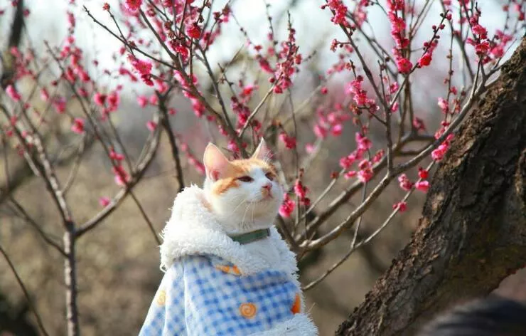 Picdump 841 - #45 