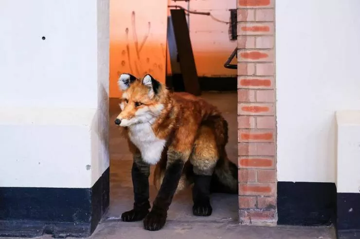 Picdump 841 - #6 