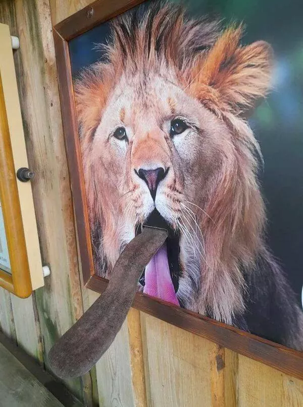 Picdump 842