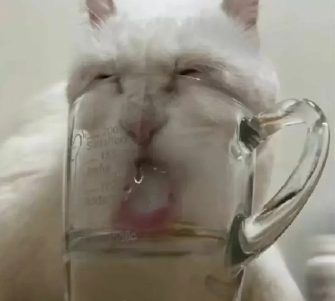 Picdump 843 - #6 