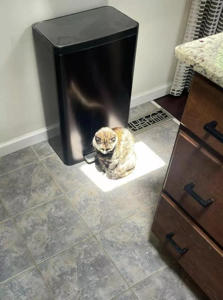 Picdump 843 - #60 