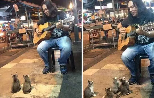 Picdump 110 - #25 