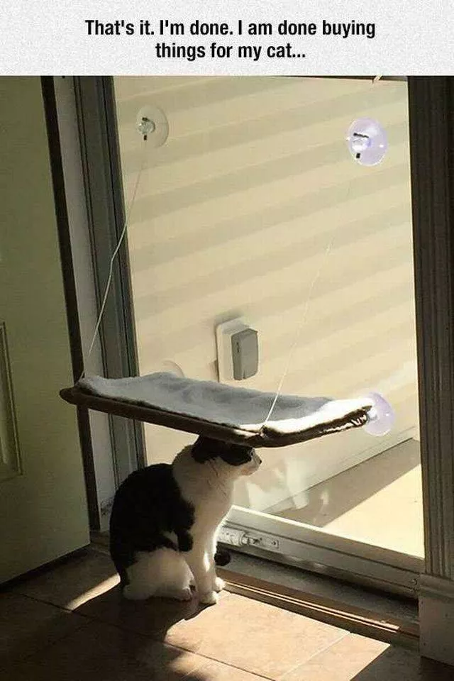 Picdump 110 - #39 