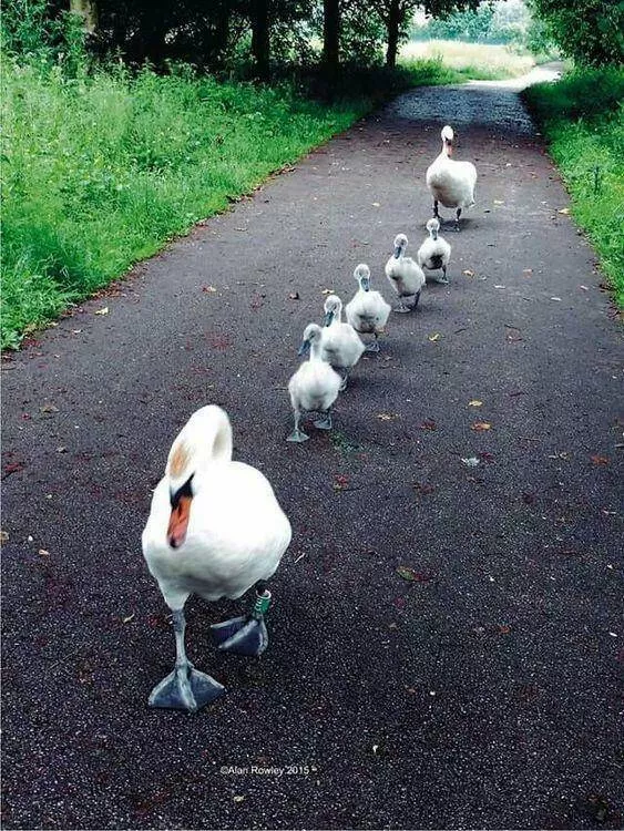 Picdump 844 - #28 