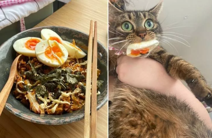 Picdump 846 - #36 