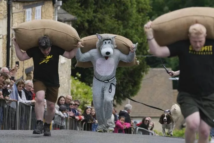 Picdump 846 - #43 