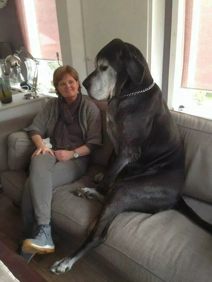 Picdump 846 - #50 