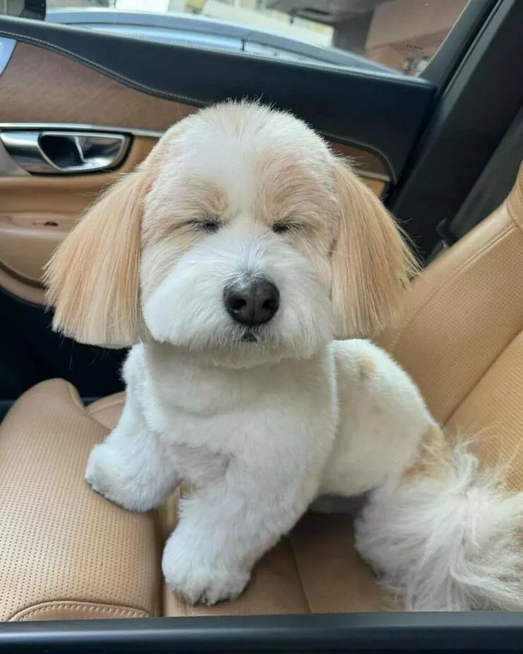 Picdump 846 - #53 