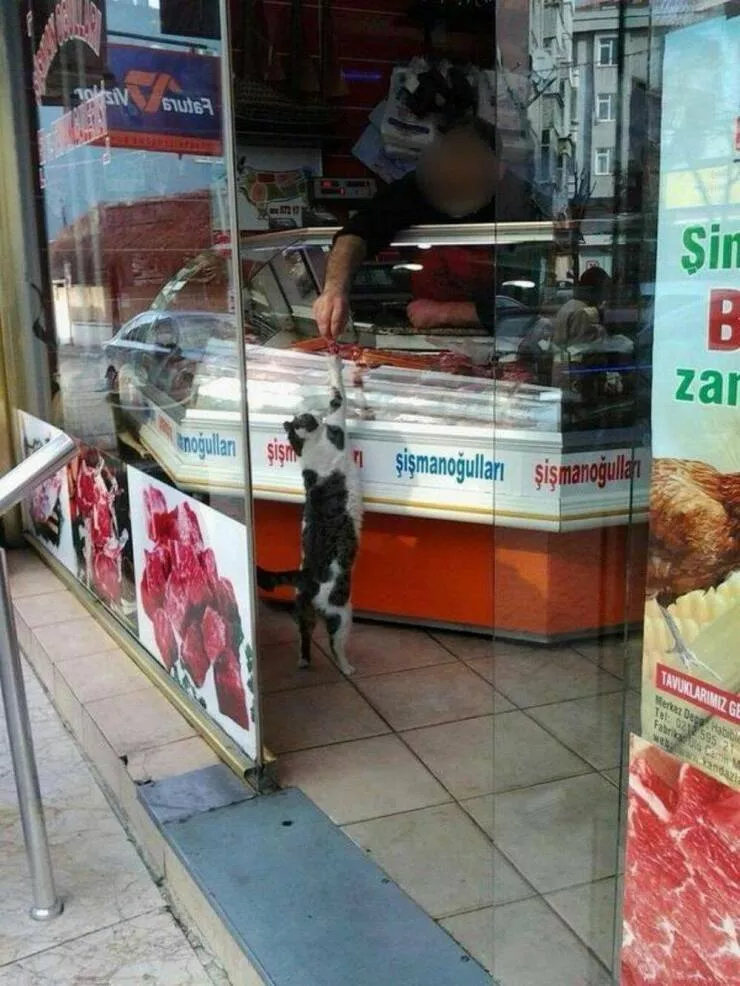 Picdump 846 - #6 