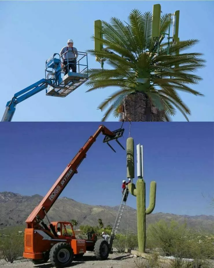 Picdump 847 - #22 