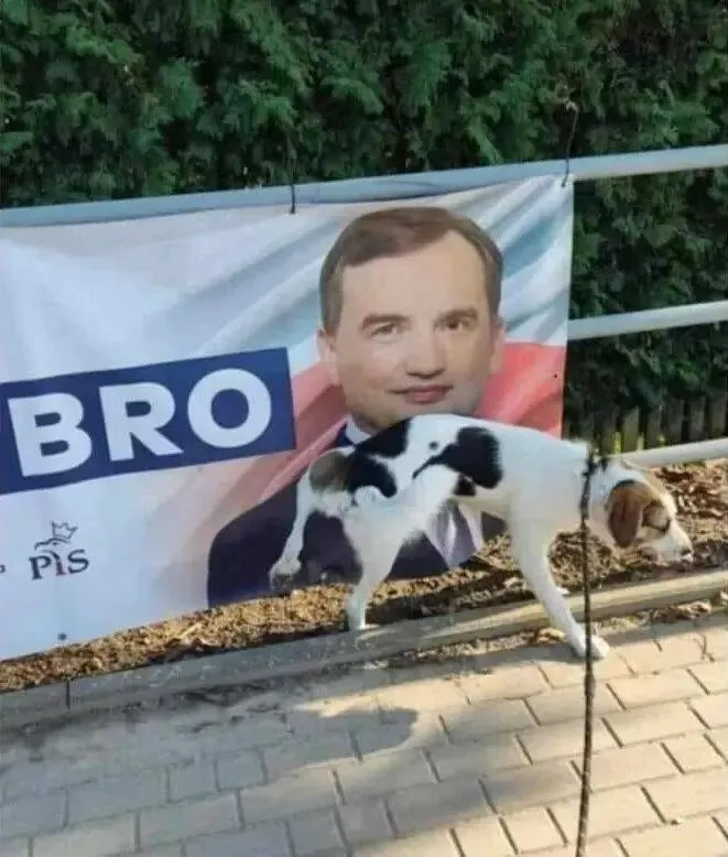 Picdump 847 - #29 