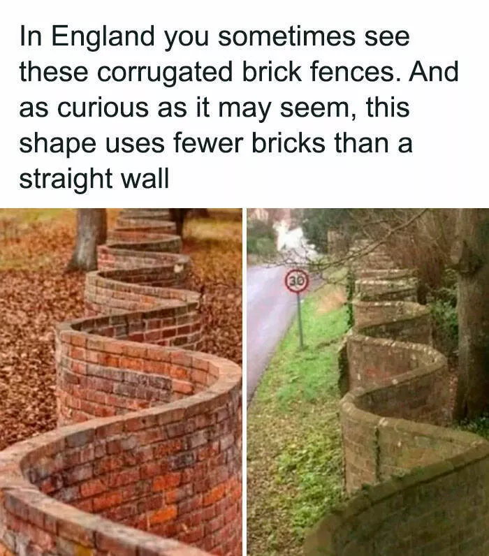 Surprising facts about our world - #16 