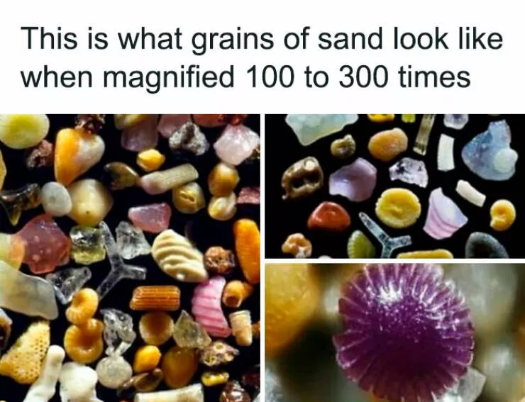 Surprising facts about our world - #17 