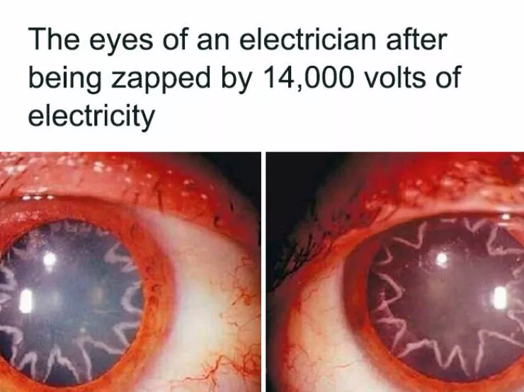 Surprising facts about our world - #29 