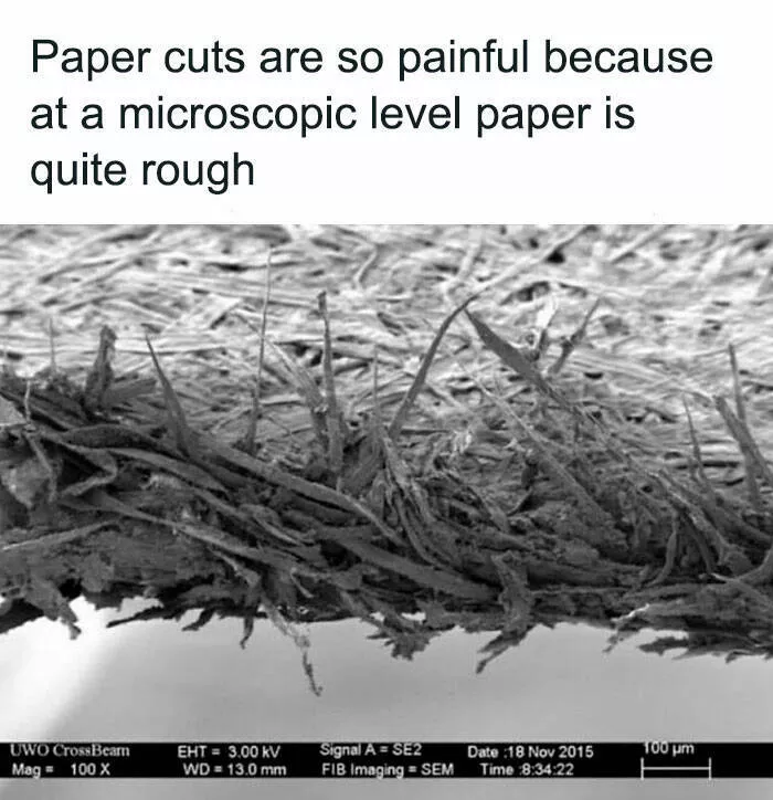 Surprising facts about our world - #3 