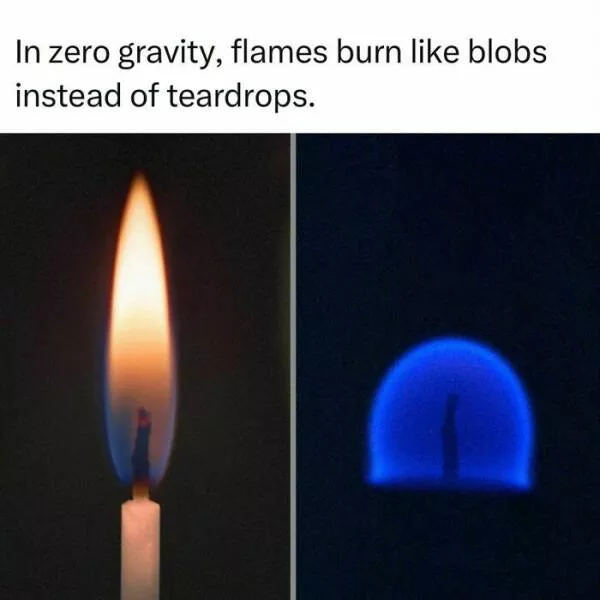 Surprising facts about our world