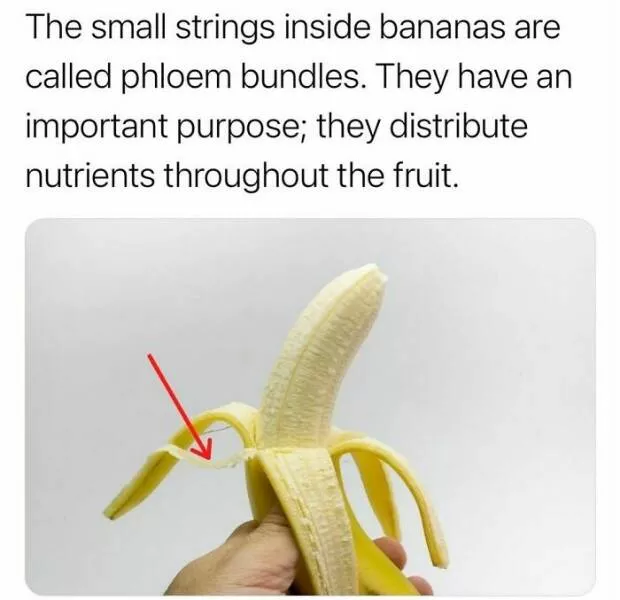 Surprising facts about our world - #45 Surprising facts about our world - #45