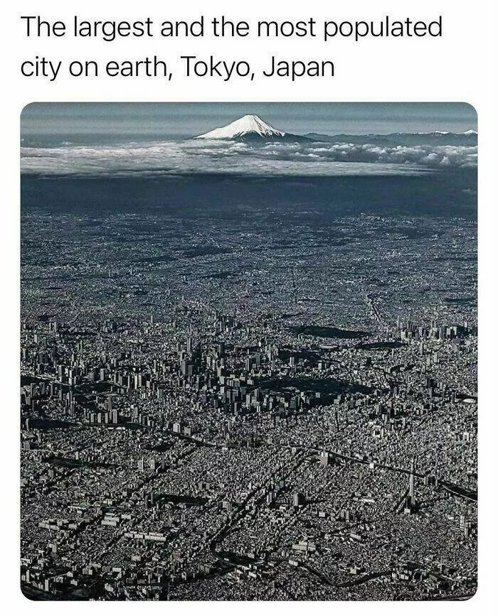 Faits surprenants sur notre monde - #48 