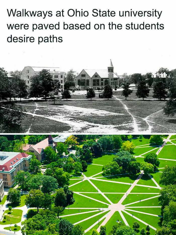 Surprising facts about our world - #5 