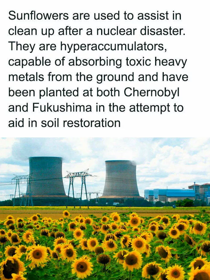Surprising facts about our world - #8 