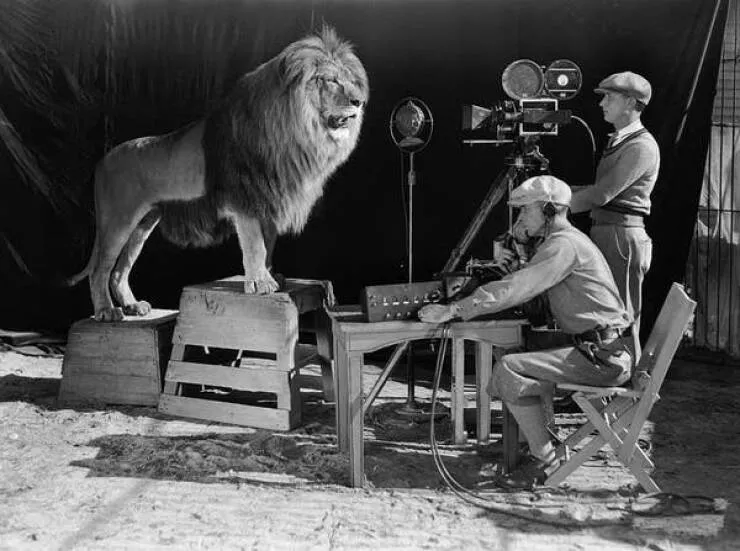 Photos historiques rares qui changeront votre perspective - #17 Before CGI, this is how MGM filmed its iconic movie intro: Photos historiques rares qui changeront votre perspective - #17 Before CGI, this is how MGM filmed its iconic movie intro: