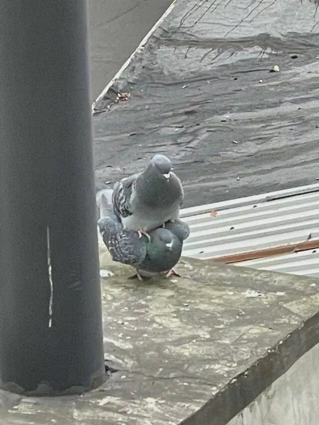 Picdump 849 - #41 