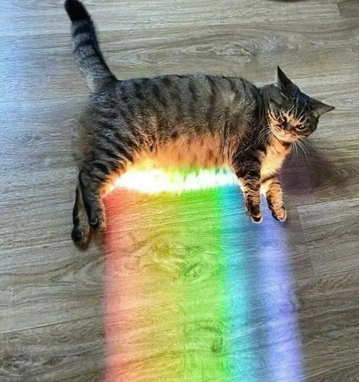 Picdump 849 - #51 